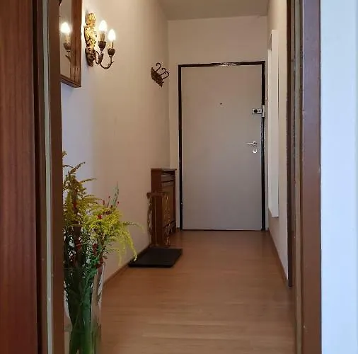 Penthouse 公寓 *